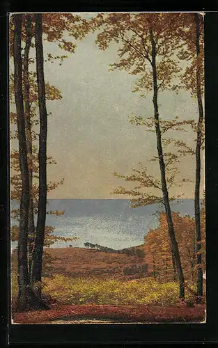 Künstler-AK Photochromie Nr. 2859: Herbstliche Bäume an grossem Gewässer