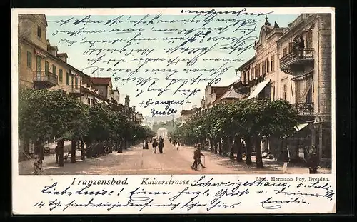 AK Franzensbad, Kaiserstrasse mit Alleebäumen
