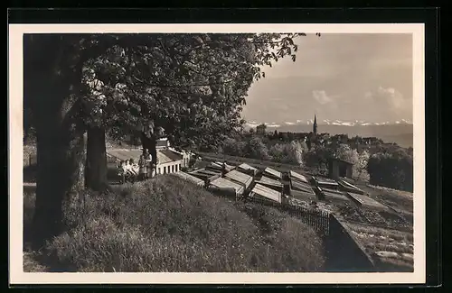 AK Zollikon, V. Gärtnerei gegen Zollikon