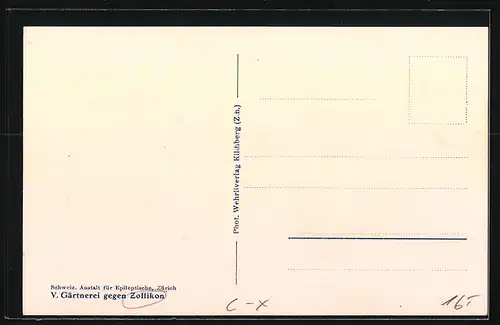 AK Zollikon, V. Gärtnerei gegen Zollikon