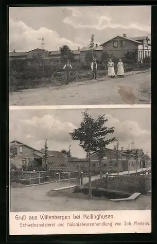 AK Hamburg-Wittenbergen, Schweinemästerei und Kolonialwarenhandlung von Joh. Martens