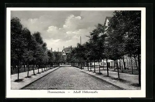 AK Hammerstein, Ansicht der strasse