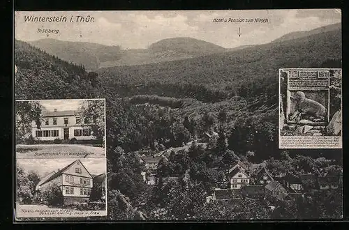 AK Winterstein /Th., Ortsansicht mit Bergblick, Hotel-Pension zum Hirsch, Stammschloss von Wangenheim