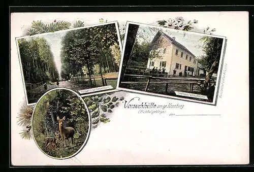 AK Gr. Kornberg, Waldpartie, Forsthaus Vorsuchhütte