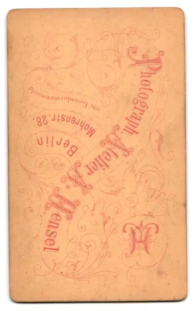 24 Fotografien A. Mensel, Berlin, Ansicht Berlin, 23 Köpfe sterbender Krieger von Andreas Schlüter im Zeughaus Innenhof 24