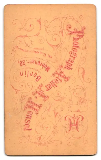 24 Fotografien A. Mensel, Berlin, Ansicht Berlin, 23 Köpfe sterbender Krieger von Andreas Schlüter im Zeughaus Innenhof 25