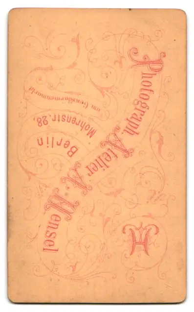 24 Fotografien A. Mensel, Berlin, Ansicht Berlin, 23 Köpfe sterbender Krieger von Andreas Schlüter im Zeughaus Innenhof 26