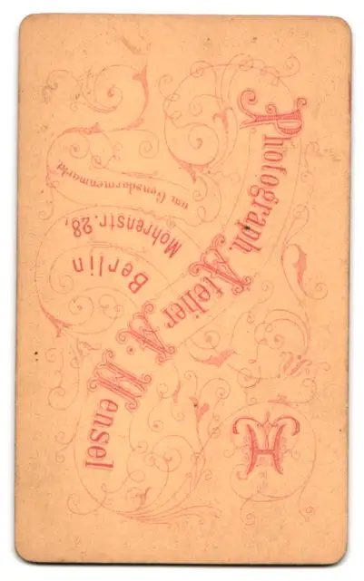 24 Fotografien A. Mensel, Berlin, Ansicht Berlin, 23 Köpfe sterbender Krieger von Andreas Schlüter im Zeughaus Innenhof 30