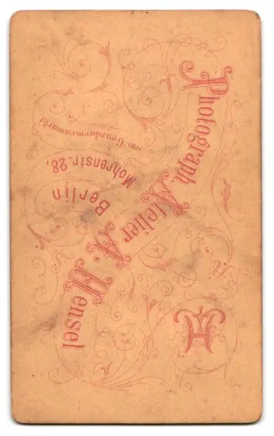 24 Fotografien A. Mensel, Berlin, Ansicht Berlin, 23 Köpfe sterbender Krieger von Andreas Schlüter im Zeughaus Innenhof 31