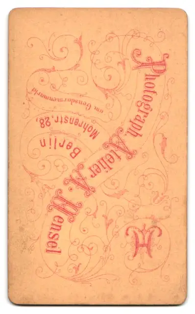 24 Fotografien A. Mensel, Berlin, Ansicht Berlin, 23 Köpfe sterbender Krieger von Andreas Schlüter im Zeughaus Innenhof 33