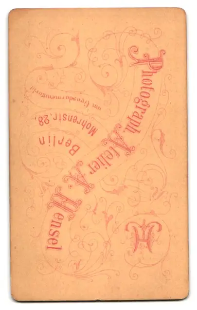 24 Fotografien A. Mensel, Berlin, Ansicht Berlin, 23 Köpfe sterbender Krieger von Andreas Schlüter im Zeughaus Innenhof 36