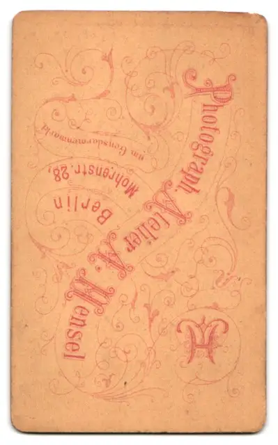 24 Fotografien A. Mensel, Berlin, Ansicht Berlin, 23 Köpfe sterbender Krieger von Andreas Schlüter im Zeughaus Innenhof 41