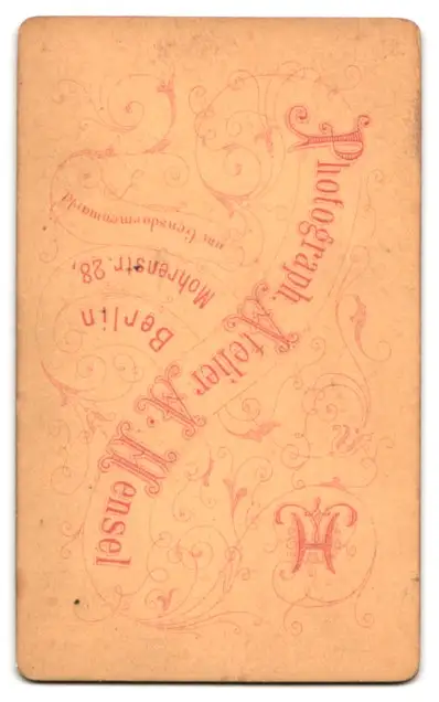 24 Fotografien A. Mensel, Berlin, Ansicht Berlin, 23 Köpfe sterbender Krieger von Andreas Schlüter im Zeughaus Innenhof 43