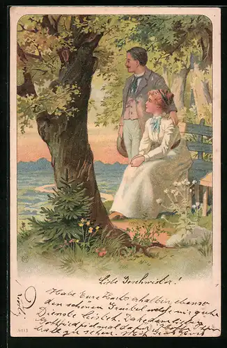 Präge-AK Liebespaar hat einen wundervollen Blick ins Land