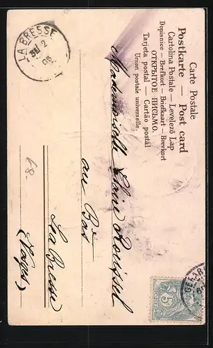 AK Jahreszahl 1905, Bonne année, Kleeblatt