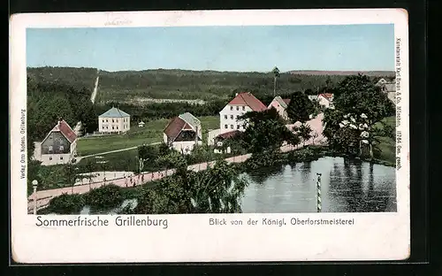 AK Grillenburg, Blick von der Königl. Oberforstmeisterei