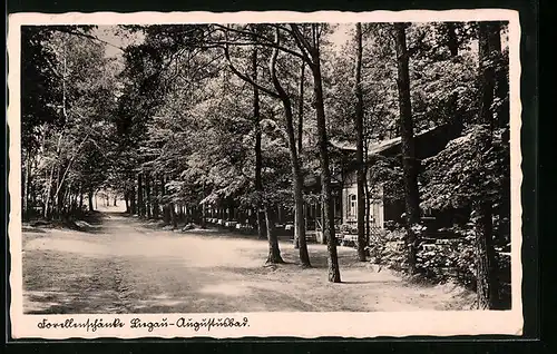 AK Liegau-Augustusbad, Gasthaus Forellenschänke