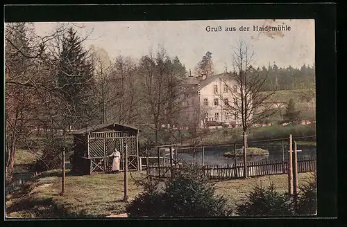 AK Langebrück i. Sa., Gasthof Haidemühle