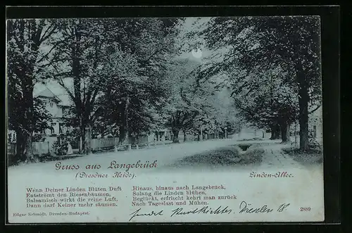 Mondschein-AK Langebrück /Dresdner Heide, Blick auf die Linden-Allee