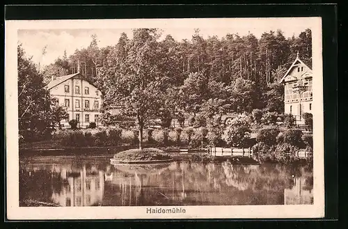 AK Langebrück i. Sa., Gasthof Haidemühle
