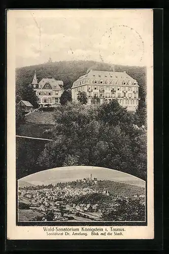 AK Königstein i. T., Wald-Sanatorium, Totalansicht