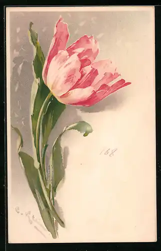 Künstler-AK Catharina Klein: Rosafarbene Tulpe mit Blättern