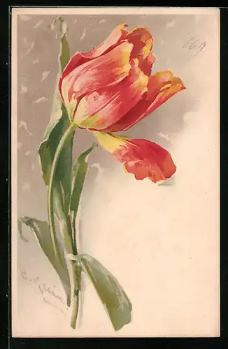 Künstler-AK Catharina Klein: Gelbrote Tulpenblüte mit Blättern