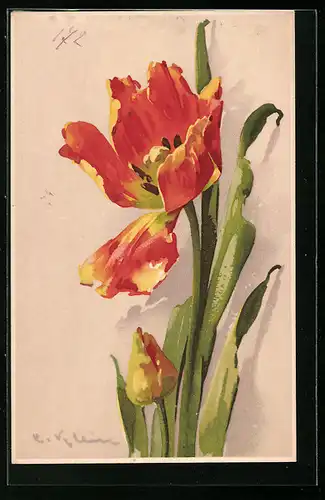 Künstler-AK Catharina Klein: Gelbrote Tulpen mit Blättern