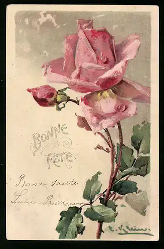 Künstler-AK Catharina Klein: Rosafarbene Edelrose mit Knospe