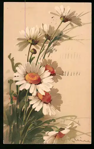 Künstler-AK Catharina Klein: Blühende Margeriten