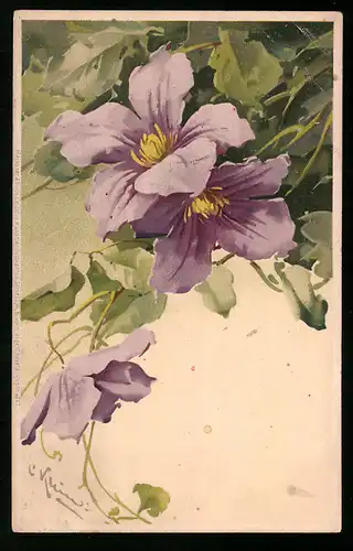 Künstler-AK Catharina Klein: Blühende violette Blumen