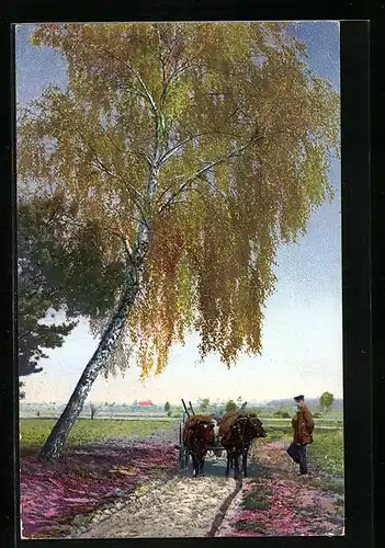 Künstler-AK Photochromie Nr. 1359: Birkenbaum mit Ochsenkarren