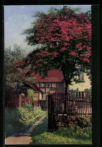 Künstler-AK Photochromie Nr. 3998: Haus mit blühendem Baum