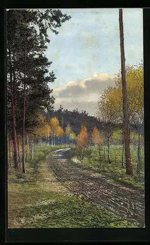 Künstler-AK Photochromie Nr. 2305: Waldweg im Herbst