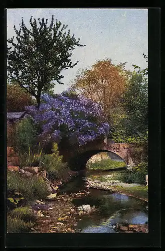 Künstler-AK Photochromie Nr. 3747: Brücke mit Bäumen und Fluss