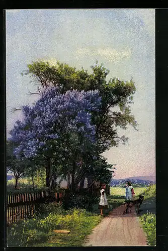 Künstler-AK Photochromie Nr. 3988: Feldweg mit Bäumen