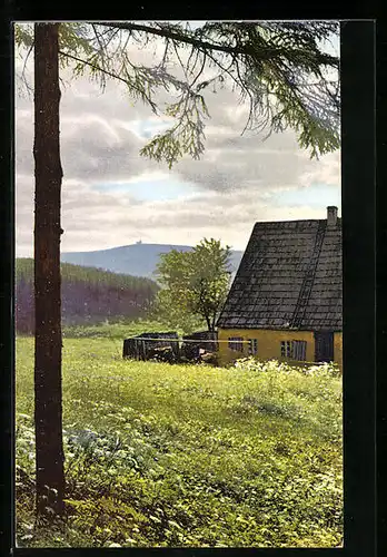 Künstler-AK Photochromie Nr.: Unterwiesenthal, Baum und Haus