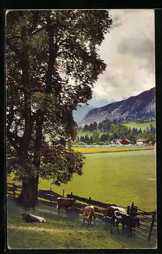 Künstler-AK Photochromie Nr. 4434: Baum mit Kühen