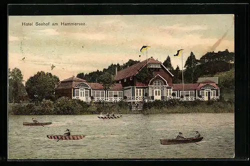AK Hammer Am See / Hamr Na Jezere, Hotel Seehof, Ruderboote auf dem See