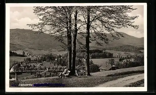 AK Liebwerda, Panorama