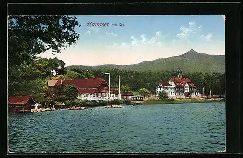 AK Hammer a. See, Panorama mit Bootspartie