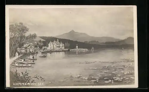 AK Hammer Am See, Uferanlagen mit Bootsanlegestelle, Blick zum Kurhaus