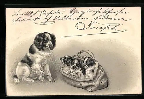 Präge-AK Hund und Tasche mit Welpen