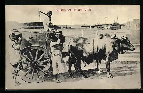 AK Aden, Bullock water cart