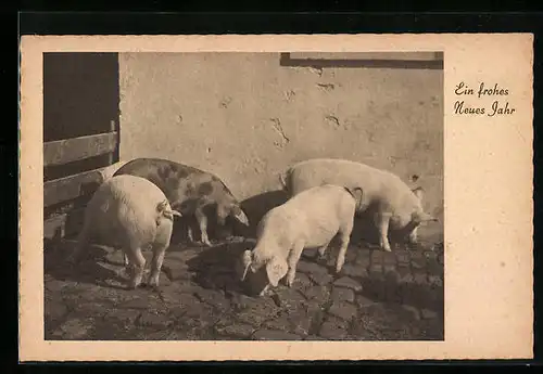 AK Drei Schweine in ihrem Verschlag, Neujahrsgruss