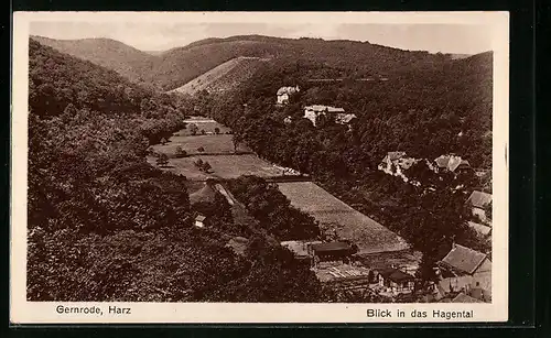 AK Gernrode i. Harz, Blick in das Hagental