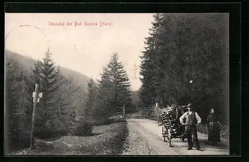 AK Bad Sachsa i. Harz, Steinatal, Karren mit Holz