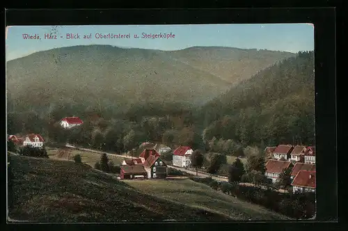AK Wieda i. Harz, Blick auf Oberförsterei und Steigerköpfe