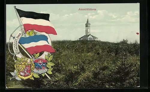 AK Neustadt i. Holst., Blick auf Aussichtsturm