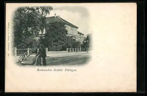 AK Tübingen, Botanisches Institut